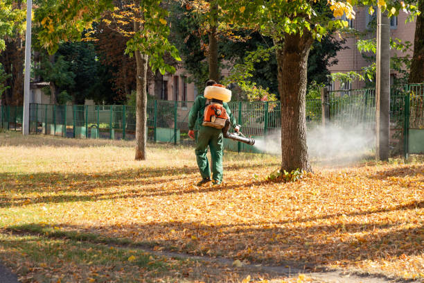 Best Cockroach Control Services  in Leitchfield, KY