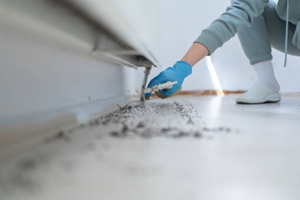 Best Affordable Pest Control Services  in Leitchfield, KY
